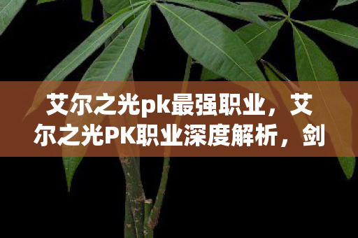 艾尔之光pk最强职业，艾尔之光PK职业深度解析，剑舞者的华丽剑术与战术运用