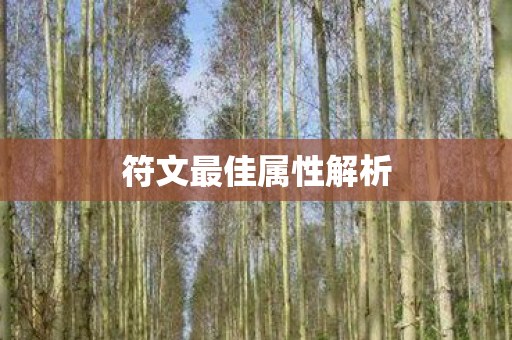 符文最佳属性解析 符文最佳属性解析