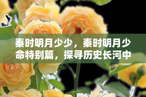 秦时明月少少，秦时明月少命特别篇，探寻历史长河中的神秘篇章