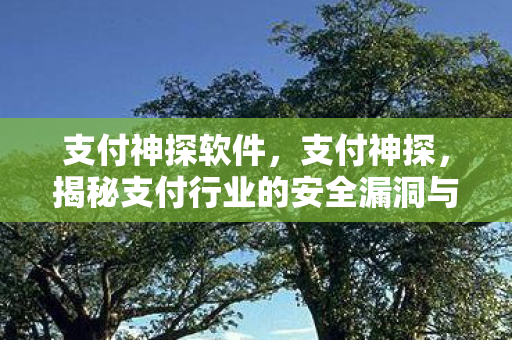 支付神探软件，支付神探，揭秘支付行业的安全漏洞与防范措施