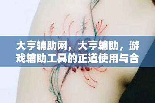 大亨辅助网，大亨辅助，游戏辅助工具的正道使用与合规性探讨