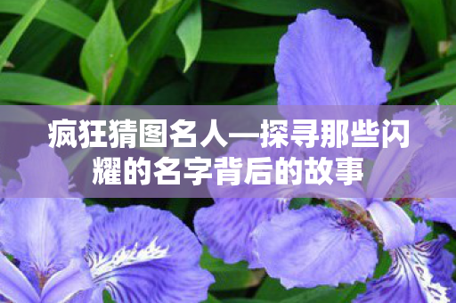 疯狂猜图名人—探寻那些闪耀的名字背后的故事