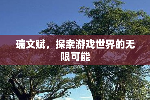 瑞文赋，探索游戏世界的无限可能