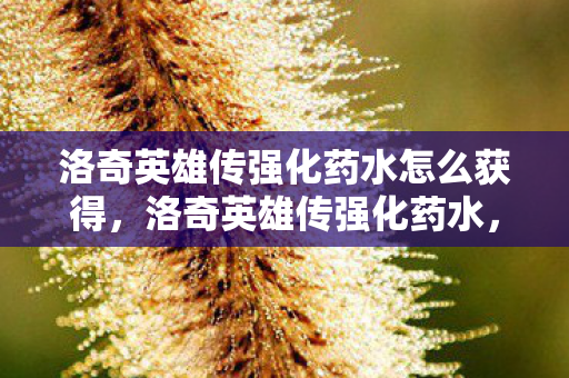 洛奇英雄传强化药水怎么获得，洛奇英雄传强化药水，提升战斗力的神秘药剂