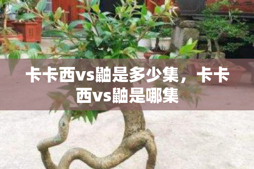 卡卡西vs鼬是多少集，卡卡西vs鼬是哪集