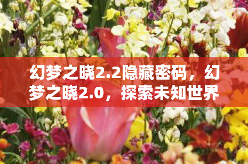 幻梦之晓2.2隐藏密码，幻梦之晓2.0，探索未知世界的奇幻之旅