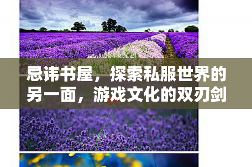 忌讳书屋，探索私服世界的另一面，游戏文化的双刃剑
