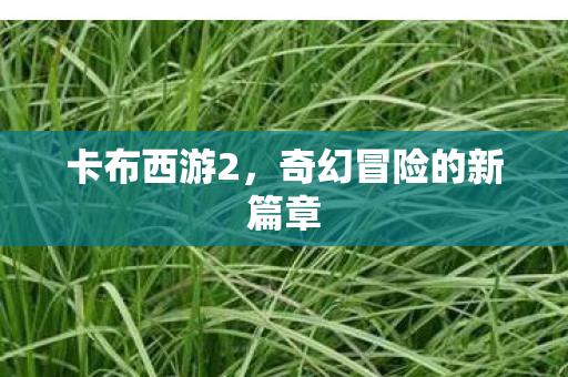 卡布西游2，奇幻冒险的新篇章