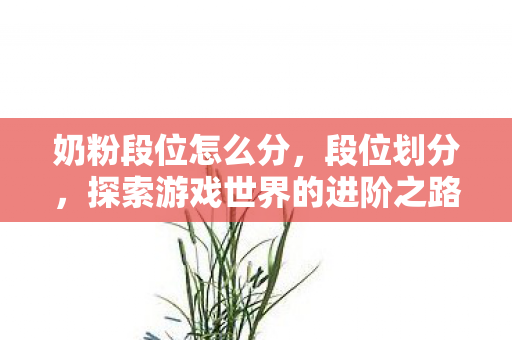 奶粉段位怎么分，段位划分，探索游戏世界的进阶之路