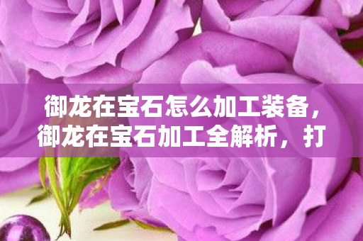 御龙在宝石怎么加工装备，御龙在宝石加工全解析，打造璀璨传奇