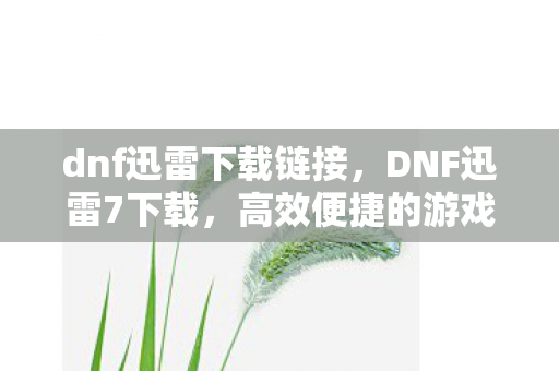 dnf迅雷下载链接，DNF迅雷7下载，高效便捷的游戏体验
