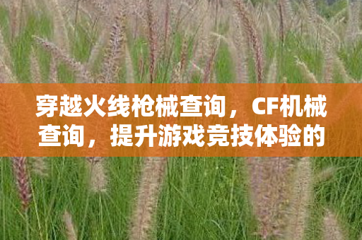 穿越火线枪械查询，CF机械查询，提升游戏竞技体验的关键工具