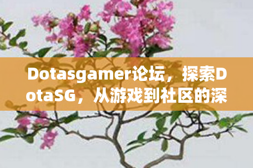 Dotasgamer论坛，探索DotaSG，从游戏到社区的深度剖析