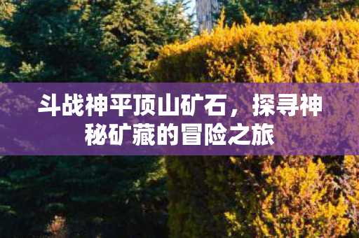 斗战神平顶山矿石，探寻神秘矿藏的冒险之旅