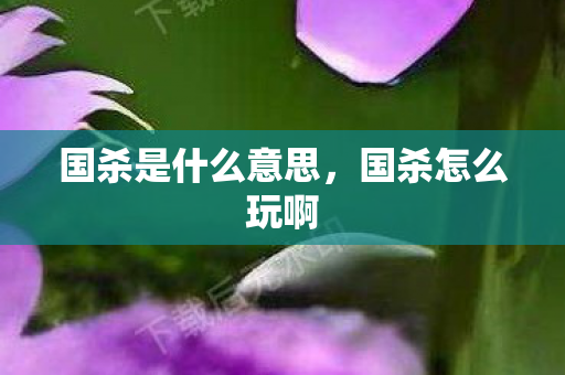 国杀是什么意思，国杀怎么玩啊