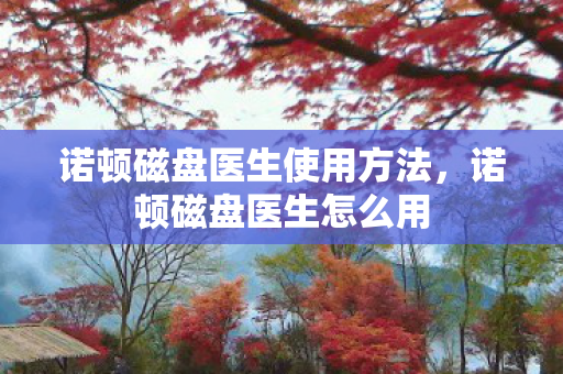 诺顿磁盘医生使用方法，诺顿磁盘医生怎么用