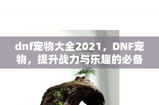 dnf宠物大全2021，DNF宠物，提升战力与乐趣的必备神器