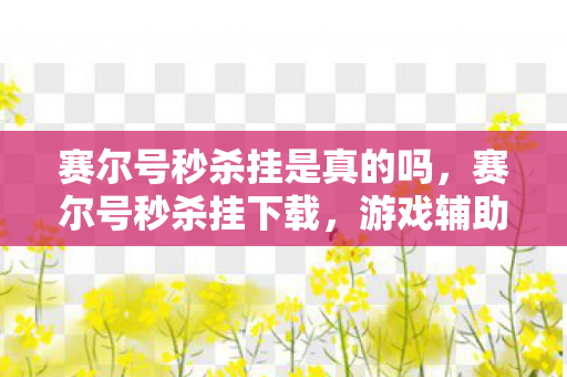 赛尔号秒杀挂是真的吗，赛尔号秒杀挂下载，游戏辅助工具的风险与合规使用指南