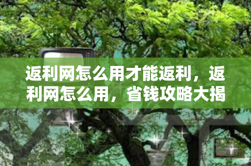 返利网怎么用才能返利，返利网怎么用，省钱攻略大揭秘