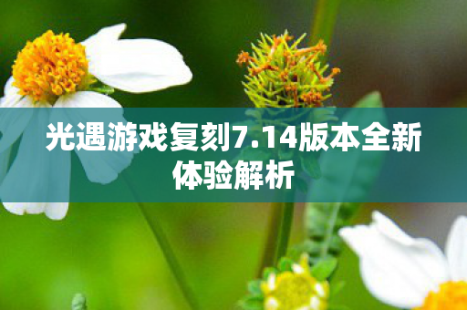 光遇游戏复刻7.14版本全新体验解析