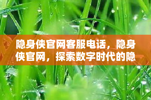 隐身侠官网客服电话，隐身侠官网，探索数字时代的隐私保护神器