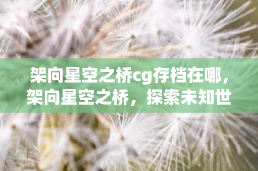 架向星空之桥cg存档在哪，架向星空之桥，探索未知世界的视觉盛宴