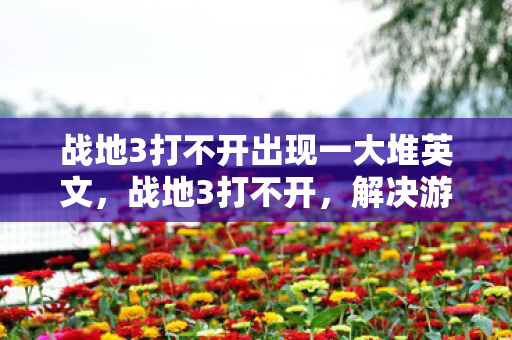 战地3打不开出现一大堆英文，战地3打不开，解决游戏启动问题的全面指南
