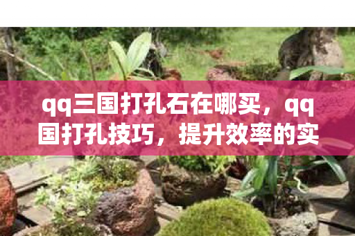 qq三国打孔石在哪买，qq国打孔技巧，提升效率的实用指南