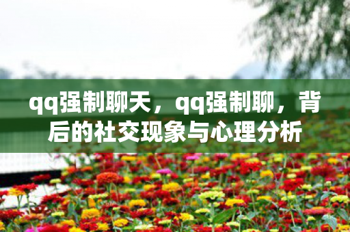 qq强制聊天，qq强制聊，背后的社交现象与心理分析