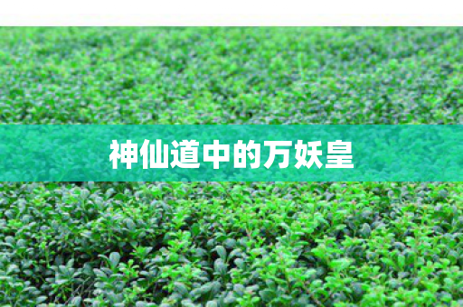 神仙道中的万妖皇