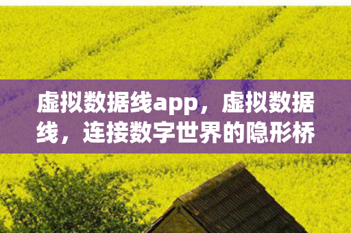 虚拟数据线app，虚拟数据线，连接数字世界的隐形桥梁