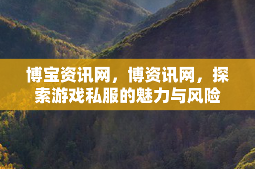 博宝资讯网，博资讯网，探索游戏私服的魅力与风险