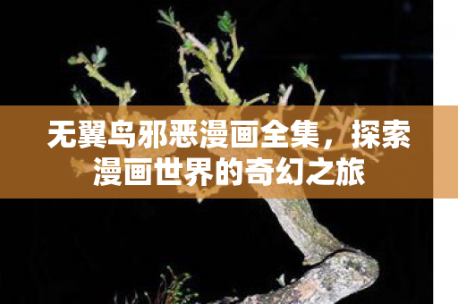 无翼鸟邪恶漫画全集，探索漫画世界的奇幻之旅