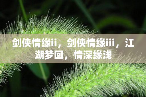 剑侠情缘ii，剑侠情缘iii，江湖梦回，情深缘浅