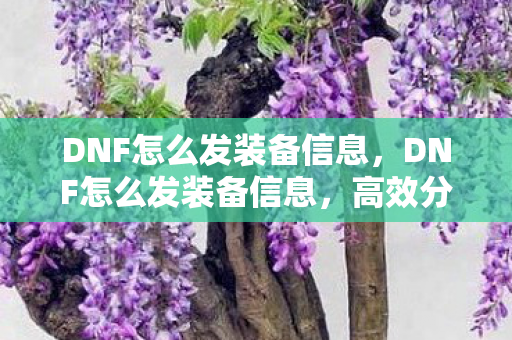 DNF怎么发装备信息，DNF怎么发装备信息，高效分享攻略
