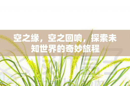 空之缘，空之回响，探索未知世界的奇妙旅程