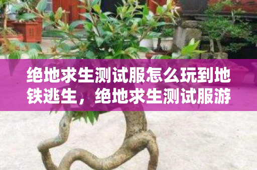 绝地求生测试服怎么玩到地铁逃生，绝地求生测试服游玩指南，探索前沿更新，畅享游戏乐趣