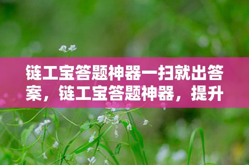 链工宝答题神器一扫就出答案，链工宝答题神器，提升答题效率，助力职场发展