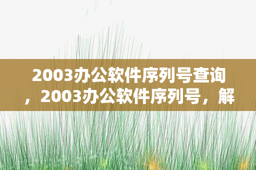 2003办公软件序列号查询，2003办公软件序列号，解锁高效办公的密钥