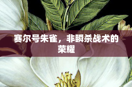 赛尔号朱雀，非瞬杀战术的荣耀