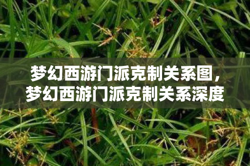 梦幻西游门派克制关系图，梦幻西游门派克制关系深度解析