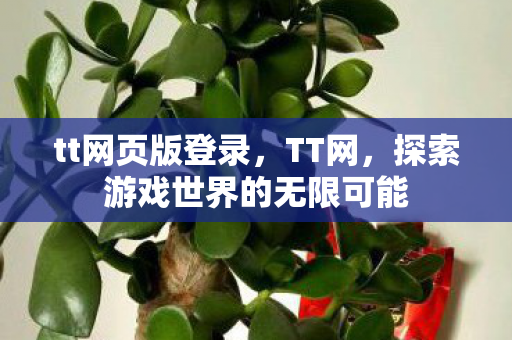 tt网页版登录，TT网，探索游戏世界的无限可能
