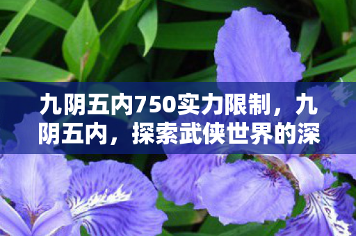 九阴五内750实力限制，九阴五内，探索武侠世界的深度与广度