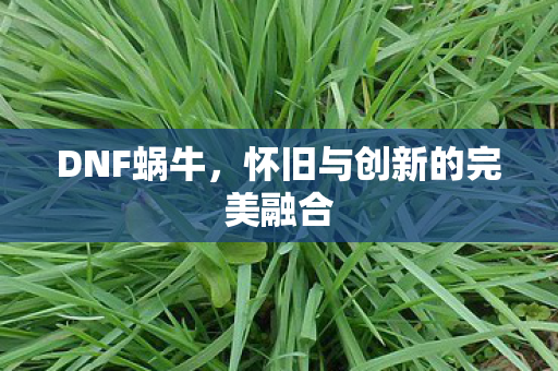 DNF蜗牛，怀旧与创新的完美融合