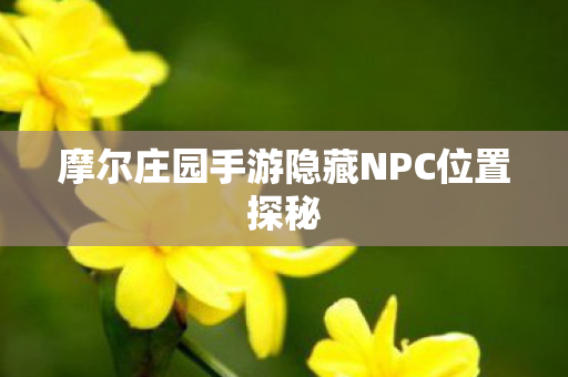 摩尔庄园手游隐藏NPC位置探秘