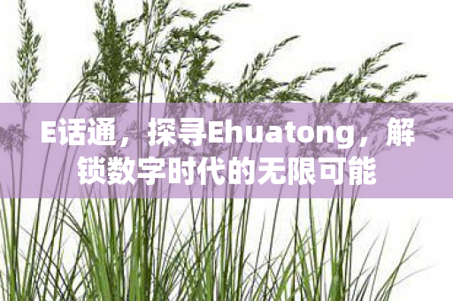 E话通，探寻Ehuatong，解锁数字时代的无限可能