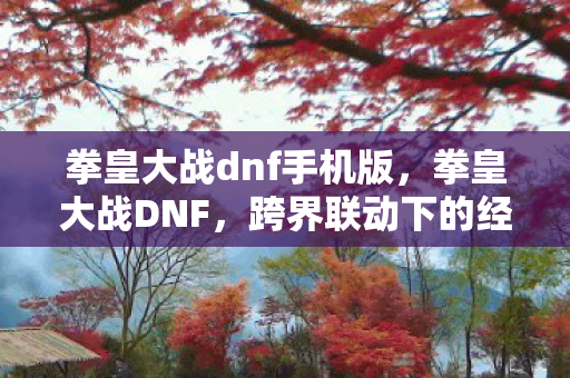 拳皇大战dnf手机版，拳皇大战DNF，跨界联动下的经典碰撞