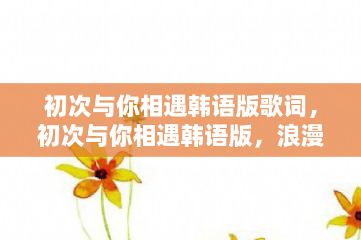 初次与你相遇韩语版歌词，初次与你相遇韩语版，浪漫邂逅的温馨回忆