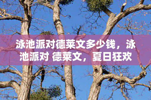 泳池派对德莱文多少钱，泳池派对 德莱文，夏日狂欢的清凉选择