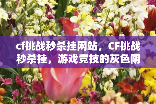 cf挑战秒杀挂网站，CF挑战秒杀挂，游戏竞技的灰色阴影